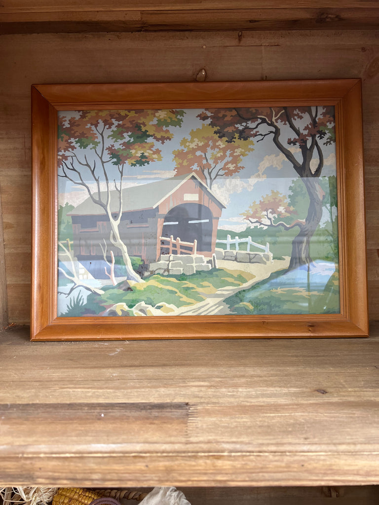 Paint by number framed with glass 14” x 18”