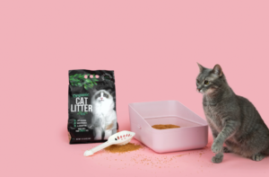 My Cat Started Sneezing Every Time I Scooped — That's When I Finally Took Litter Seriously
