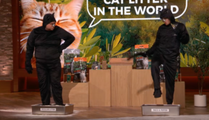 My Cat Started Sneezing Every Time I Scooped — That's When I Finally Took Litter Seriously