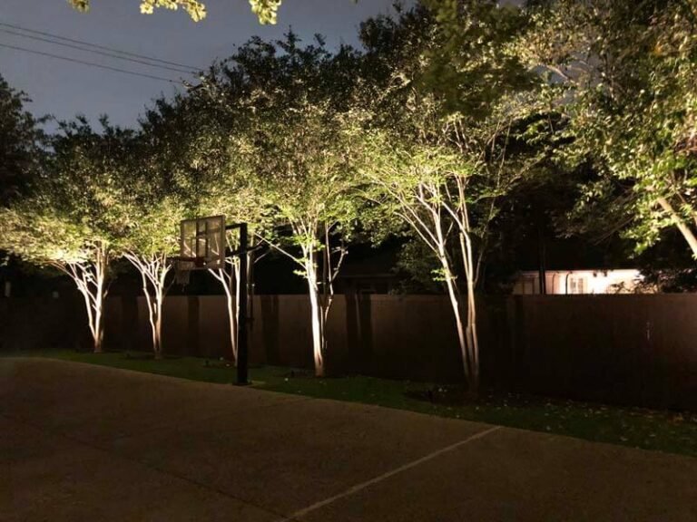 Outdoor Spotlights: How to Highlight Trees, Walls, and Focal Points